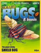 real-life bugs &