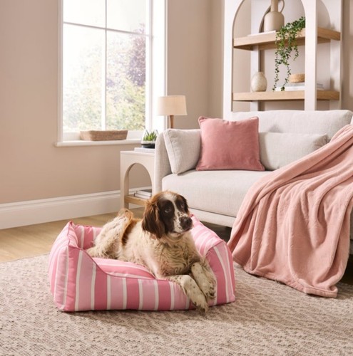 Pink white striped sofa - &,