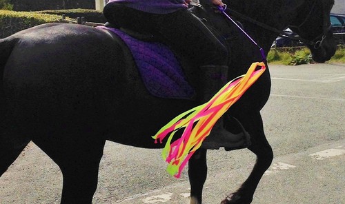 Horse viz crop streamers - viz,