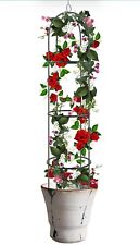 Garden Plant Obelisk Outdoor