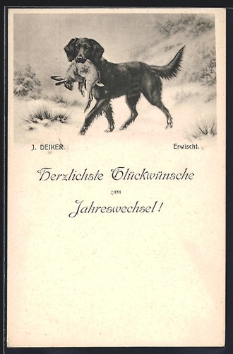 Hunting dog brings rabbit - dog,