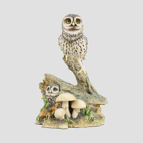 Tawny owl and owlet - tawny,
