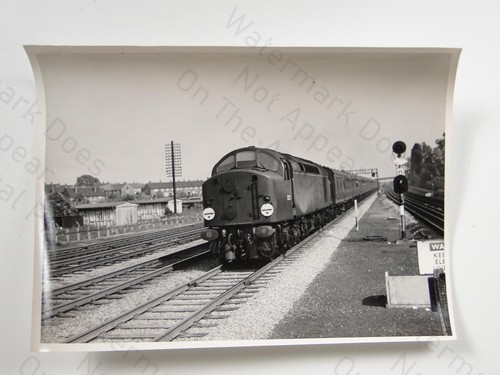 Diesel locomotive d223 class - d223,