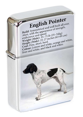 English pointer flip top - english,