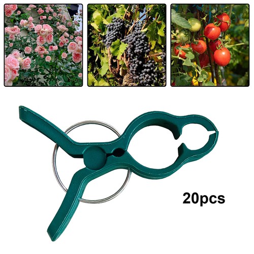 20x garden plant - 20x, clips