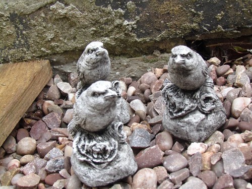Little birds concrete - little,