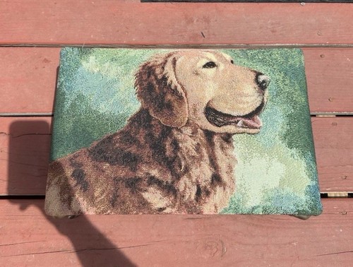 Golden retriever lab step - lab,