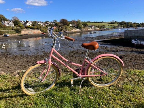 Bobbin gingersnap pink - bobbin's, 24"