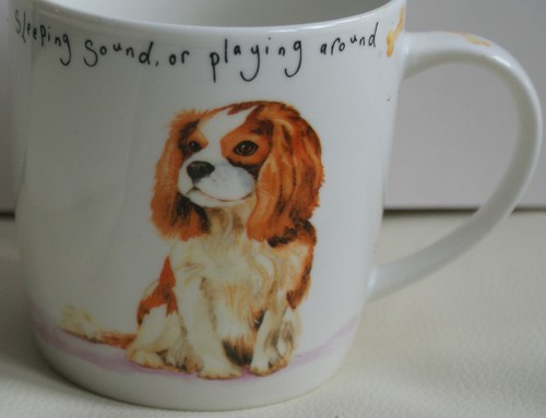 Nuova r2s king charles - nuova,