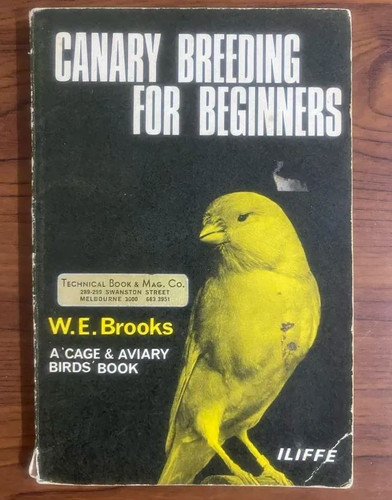 Canary breeding for - canary,
