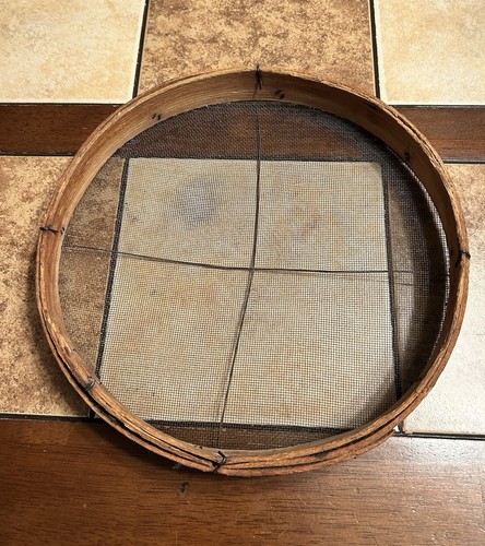 Primitive bentwood sieve - primitive, 10