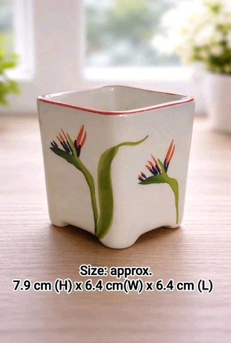 Square ceramic plant pot - plant,