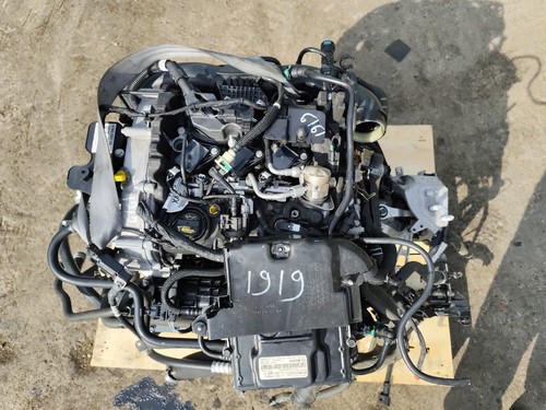 Ford puma 2019 2026 - 999, engine