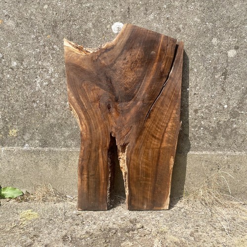 English walnut live edge slab - walnut,