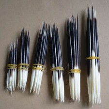 10Pc Porcupine Quills for Hair