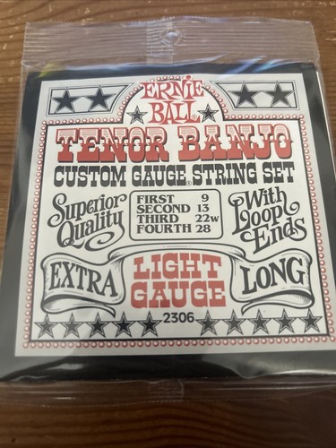 Ernie ball tenor banjo - banjo, light