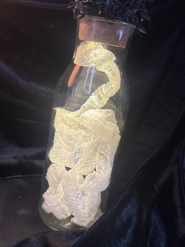 Ooak corn snake - -, shed