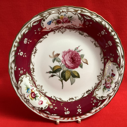 Celebration coalport - of,