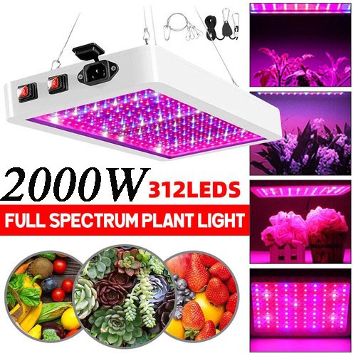 2000w led grow - 2000w, light