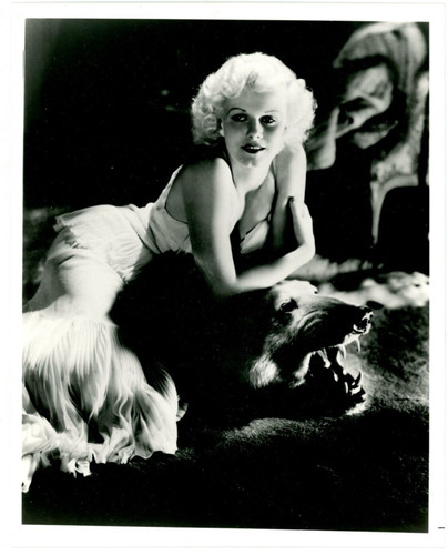 Photograph jean harlow bear - photograph,