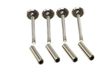 SET OF INLET VALVES & GUIDES