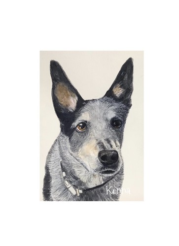 Dog portrait kenna - by,