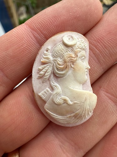 Antique shell cameo lady - antique,