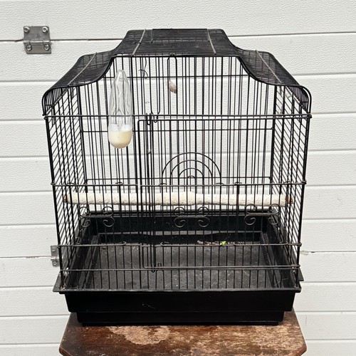 Liberta siam bird cage budgies - bird,