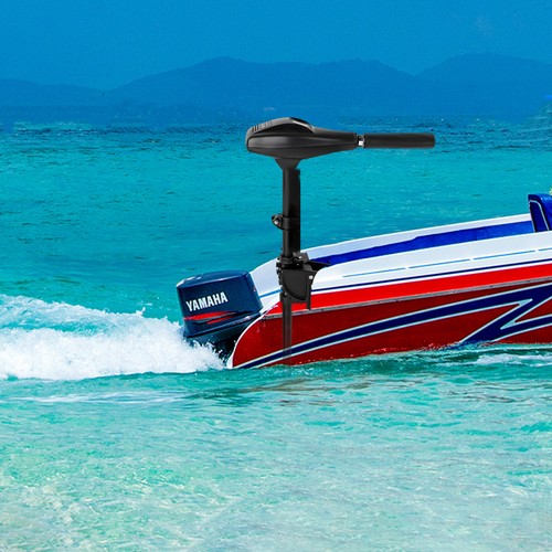 12v 58lbs electric - 58lbs,