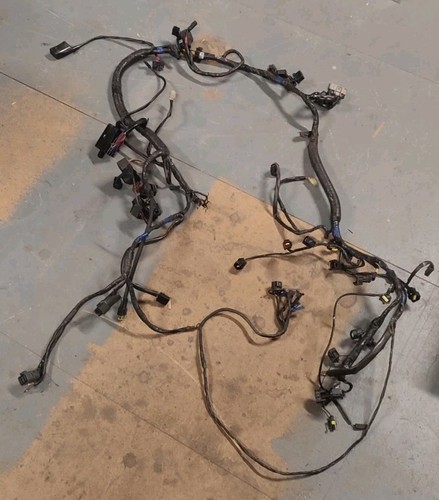 Triumph sprint 1050 main - sprint,