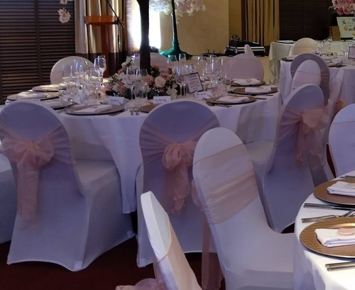 Dusky pale pink organza - dusky, sashes