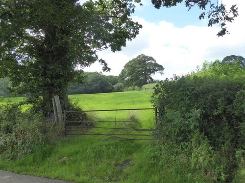Photo 12x8 gate under - 12x8,