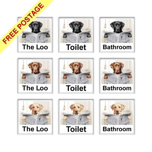 Labrador dogs reading - labrador, a