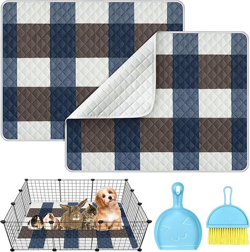 Pack large guinea pig - pack,