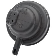 FITS HELLA CAP, SPOTLIGHT