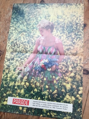 Parade glamour magazine colour - parade,