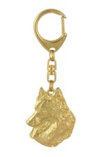 Belgian shepherd dog - shepherd,