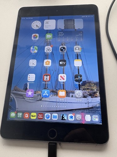 Apple ipad mini - ipad,