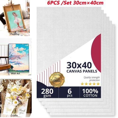 6pcs blank canvas - a3,
