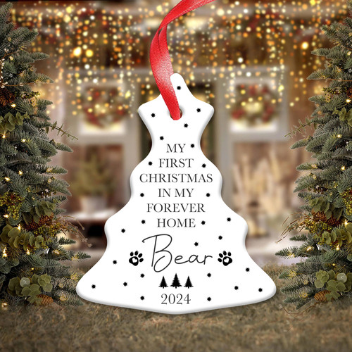 First christmas with dog puppy - first,