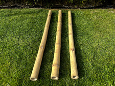 Natural Apus Bamboo Pole 4-6