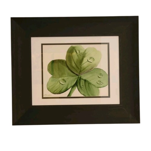 Framed watercolor shamrock - framed, by