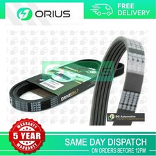 Drive Belt Orius Fits