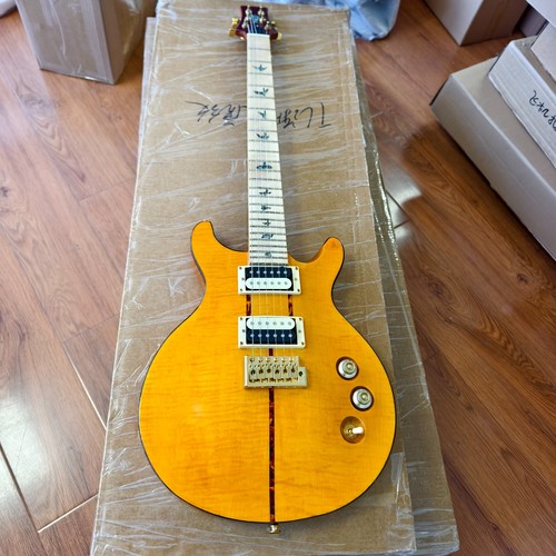 Prs semi hollow - semi-hollow, electric