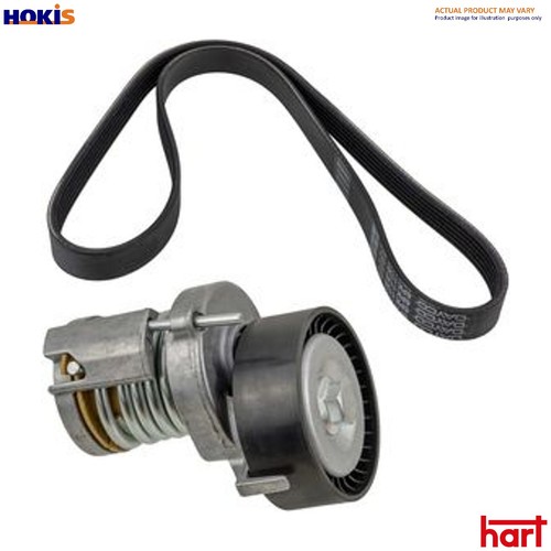 Belt tensioner vribbed - belt,