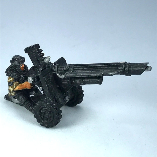 Tallarn desert raider custom - tallarn,