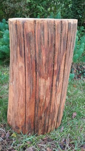 Tree stump table hardwood log