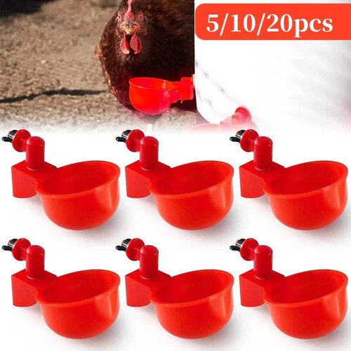 Automatic chicken water cup - chicken,