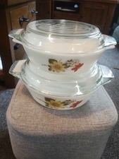 Pyrex Vintage Autumn Glory Casserole Dishs England. 8in Plus 7in With Lids