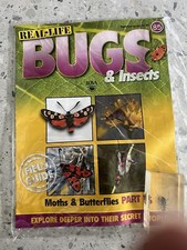 Real life bugs Issue 85 moths